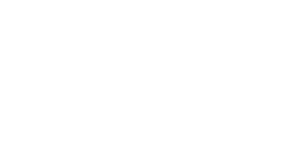 logo footer