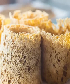Mực cán tẩm