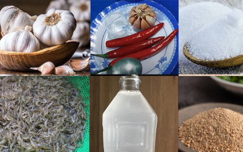 cách làm mắm tép và nguyên liệu