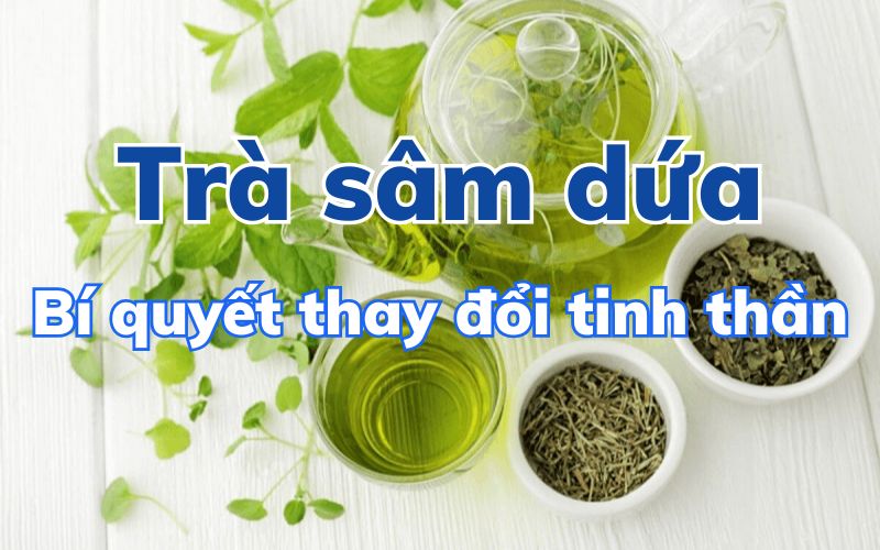 Trà Sâm Dứa
