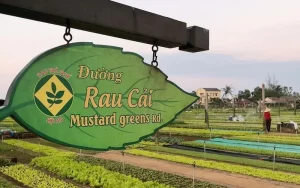 Làng rau Trà Quế