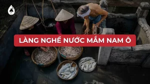 Làng nghề Nam ô